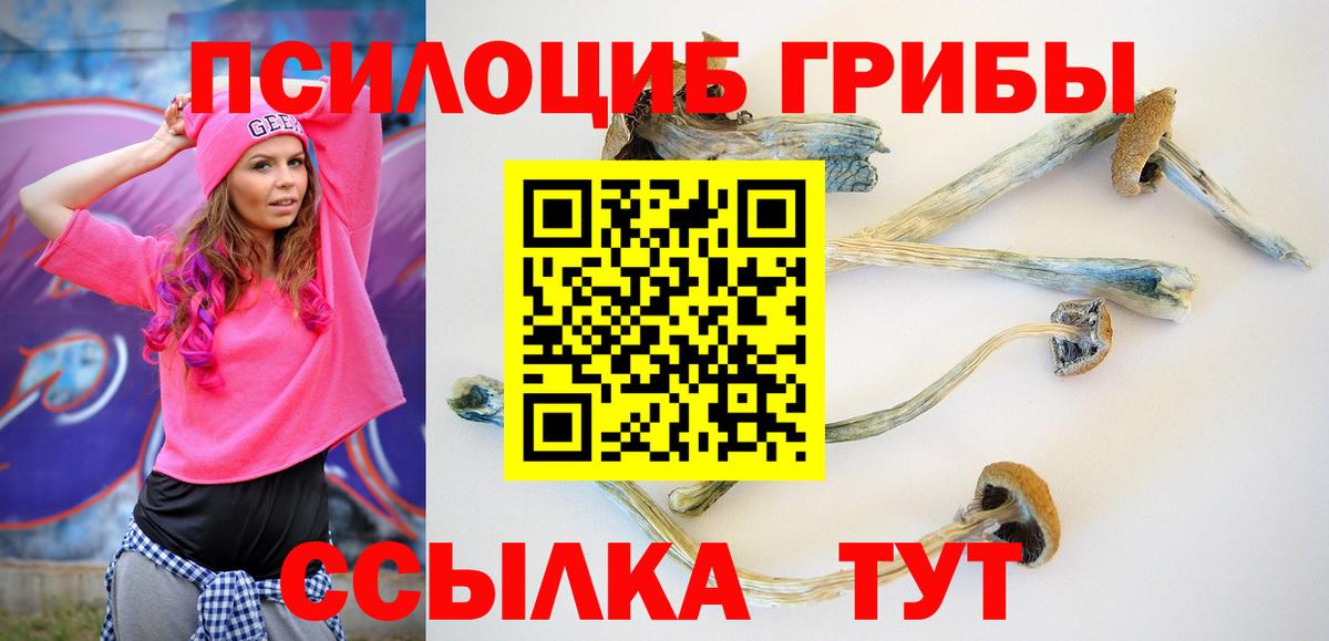 Псилоцибиновые грибы мицелий Трёхгорный
